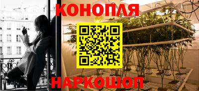 гидра Моздок