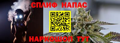гидра Моздок